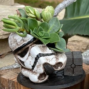 Meet your Posher, Dylan